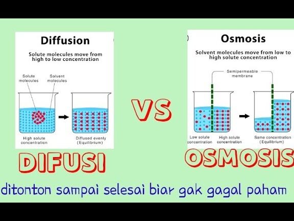 Contoh Difusi dalam Kehidupan Sehari-hari dan Ilmu Pengetahuan