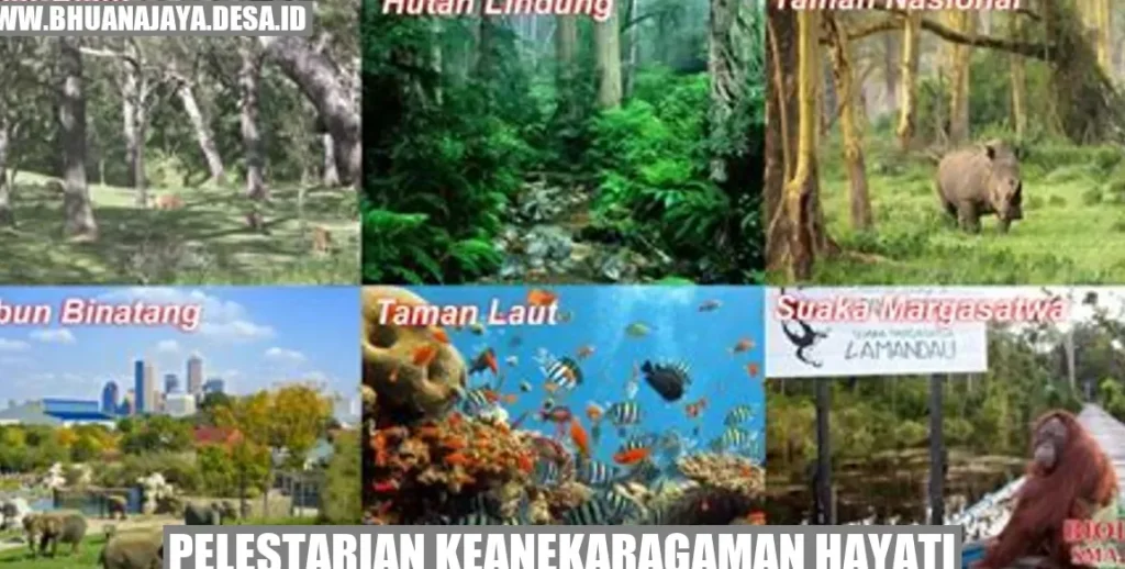 Contoh Keanekaragaman Hayati di Indonesia dan Pentingnya Pelestariannya