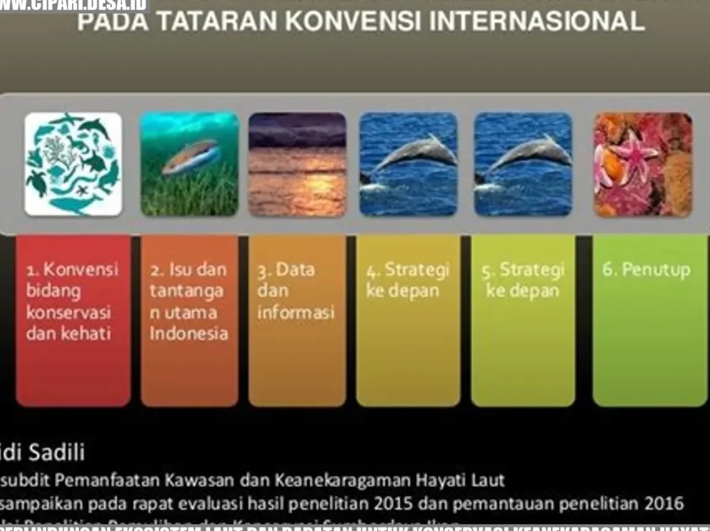 Pentingnya Keanekaragaman Hayati dan Dampaknya bagi Ekosistem