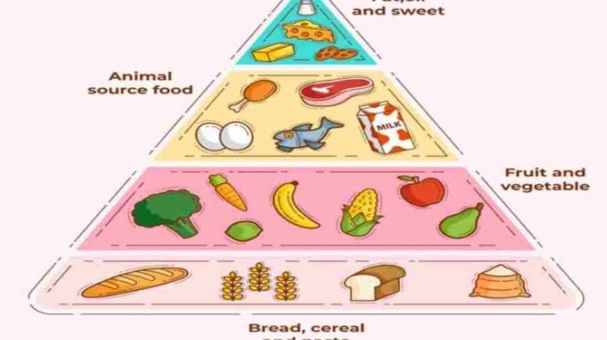 Piramida Makanan: Struktur Nutrisi Seimbang untuk Kesehatan